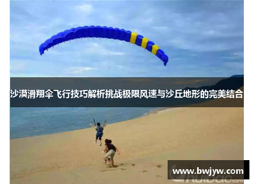 沙漠滑翔伞飞行技巧解析挑战极限风速与沙丘地形的完美结合